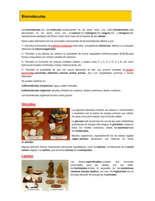 Las biomoléculas son las moléculas constituyentes de los seres vivos. Los cuatro bioelementos más
abundantes en los seres vivos son el carbono (C), hidrógeno (H), oxígeno (O) y nitrógeno (N),
representando alrededor del 99 por ciento de la masa de la mayoría de las células.
Estos cuatro elementos son los principales componentes de las biomoléculas debido a que:
1.- Permiten la formación de enlaces covalentes entre ellos, compartiendo electrones, debido a su pequeña
diferencia de electronegatividad.
2.- Permiten a los átomos de carbono la posibilidad de formar esqueletos tridimensionales –C–C–C–para
formar compuestos con número variable de carbonos.
3.- Permiten la formación de enlaces múltiples (dobles y triples) entre C y C, C y O, C y N, así como
estructuras lineales ramificadas cíclicas, heterocíclicas, etc.
4.- Permiten la posibilidad de que con pocos elementos se den una enorme variedad de grupos
funcionales (alcoholes, aldehídos, cetonas, ácidos, aminas, etc.) con propiedades químicas y físicas
diferentes.
Se pueden clasificar en:
a) Biomoléculas inorgánicas: agua y sales minerales
b) Biomoléculas orgánicas: glúcidos (hidratos de carbono), lípidos, proteínas y ácidos nucleicos.
Las biomoléculas orgánicas forman cuatro grupos:
Glúcidos
Los glúcidos (llamados hidratos de carbono o carbohidratos
o sacáridos) son la fuente de energía primaria que utilizan
los seres vivos para realizar sus funciones vitales.
La glucosa está al principio de una de las rutas metabólicas
productoras de energía más antigua, la glucólisis, usada en
todos los niveles evolutivos, desde las bacteriashasta
los vertebrados.
Muchos organismos, especialmente los de estirpe vegetal
(algas, plantas) almacenan sus reservas en forma
de almidón
Algunos glúcidos forman importantes estructuras esqueléticas, como la celulosa, constituyente de la pared
celular vegetal, o la quitina, que forma la cutícula de losartrópodos.
Lípidos
Los lípidos saponificables cumplen dos funciones
primordiales para las células; por una parte,
los fosfolípidos forman el esqueleto de las membranas
celulares (bicapa lipídica); por otra, los triglicéridos son el
principal almacén de energía de losanimales.
Biomoléculas
 