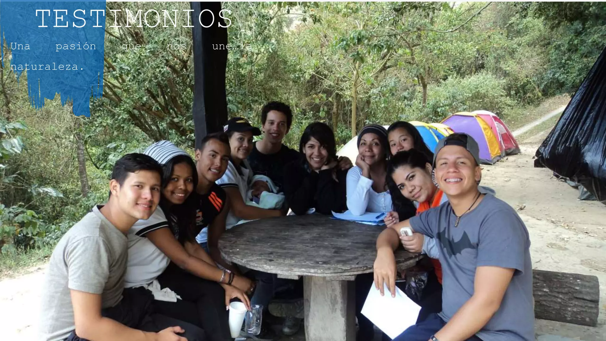 Portafolio de Greta Colina | PPTX | Business | Business and Finance