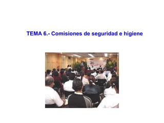 TEMA 6.- Comisiones de seguridad e higiene
 
