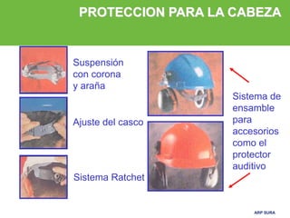 ARP SURAARP SURA
Suspensión
con corona
y araña
Ajuste del casco
Sistema Ratchet
Sistema de
ensamble
para
accesorios
como el
protector
auditivo
PROTECCION PARA LA CABEZA
 