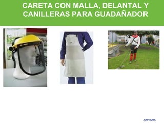 ARP SURAARP SURA
CARETA CON MALLA, DELANTAL Y
CANILLERAS PARA GUADAÑADOR
 