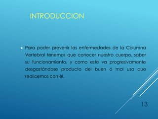 INTRODUCCION
 Para poder prevenir las enfermedades de la Columna
Vertebral tenemos que conocer nuestro cuerpo, saber
su funcionamiento, y como este va progresivamente
desgastándose producto del buen ó mal uso que
realicemos con él.
13
 