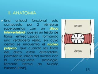 II. ANATOMIA
 Una unidad funcional esta
compuesta por 2 vértebras
superpuestas con un disco
intervertebral, que es un tejido de
fibras entrecruzados formando
una verdadera rejilla, en cuyo
centro se encuentra el núcleo
pulposo, que cuando las fibras
del disco están distendidas,
permiten la salida del núcleo con
la consiguiente patología,
llamada Hernia de Nucléo
Pulposo (HNP).
15
 