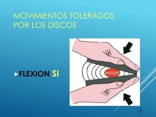 MOVIMIENTOS TOLERADOS
POR LOS DISCOS
FLEXION SI
16
 