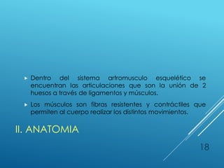 II. ANATOMIA
 Dentro del sistema artromusculo esquelético se
encuentran las articulaciones que son la unión de 2
huesos a través de ligamentos y músculos.
 Los músculos son fibras resistentes y contráctiles que
permiten al cuerpo realizar los distintos movimientos.
18
 