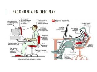 ERGONOMIA EN OFICINAS
 