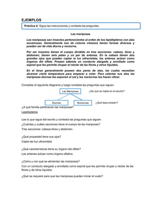 EJEMPLOS
Práctica 4: Sigue las instrucciones y contesta las preguntas.
Las mariposas
Las mariposas son insectos pertenecientes al orden de los lepidópteros con alas
escamosas. Generalmente son de colores vistosos tienen formas diversas y
pueden ser de vida diurna y nocturna.
Por ser insectos tienen el cuerpo dividido en tres secciones: cabeza, tórax y
abdomen; tienen seis patas y un par de antenas. En la cabeza tienen dos
grandes ojos que pueden captar la luz ultravioleta; las antenas actúan como
órganos del olfato. Poseen además un conducto alargado y enrollado como
espiral que les permite chupar el néctar de las flores y otros líquidos.
En el tórax generalmente poseen dos pares de alas, las cuales necesitan
alcanzar cierta temperatura para empezar a volar. Para calentar sus alas las
mariposas diurnas las exponen al sol y las nocturnas las hacen vibrar.
Completa el siguiente diagrama y luego contesta las preguntas que siguen.
Las Mariposas

Diurnas

Nocturnas

¿De qué se habla en el escrito?

¿Qué tipos existen?

¿A qué familia pertenecen las mariposas?
Lepidopteros
Lee lo que sigue del escrito y contesta las preguntas que siguen.
¿Cuántas y cuáles secciones tiene el cuerpo de las mariposas?
Tres secciones: cabeza tórax y abdomen.
¿Qué propiedad tiene sus ojos?
Capta las luz ultravioleta
¿Qué características tiene su órgano del olfato?
Las antenas actúan como órgano olfativo.
¿Cómo y con qué se alimentan las mariposas?
Con un conducto alargado y enrollado como espiral que les permite chupar y néctar de las
flores y de otros líquidos.
¿Qué se requiere para que las mariposas puedan iniciar el vuelo?

 