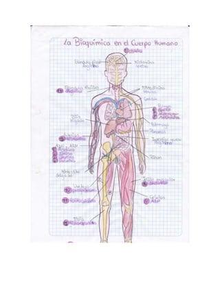 Portafolio de juanito