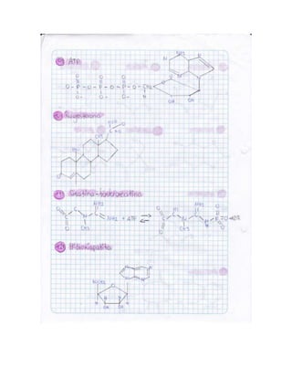 Portafolio de juanito