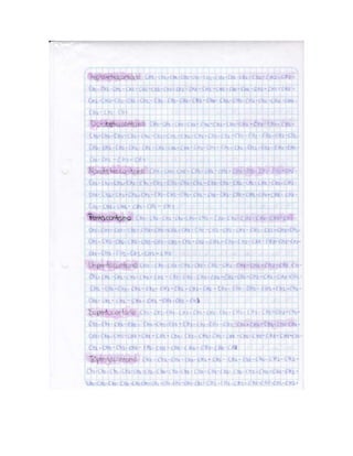 Portafolio de juanito