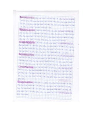 Portafolio de juanito