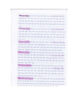 Portafolio de juanito