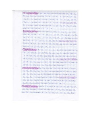 Portafolio de juanito