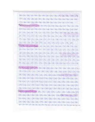 Portafolio de juanito