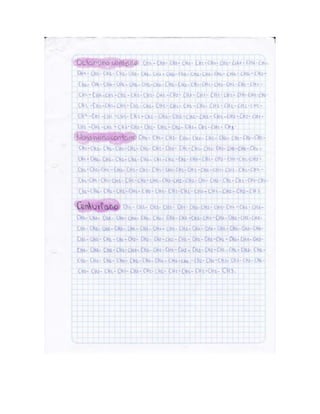 Portafolio de juanito