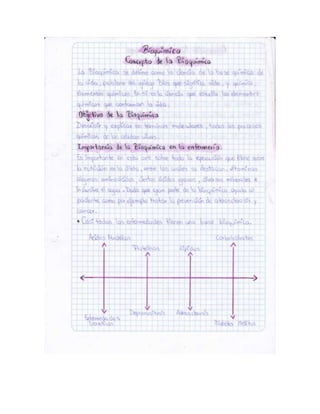 Portafolio de juanito