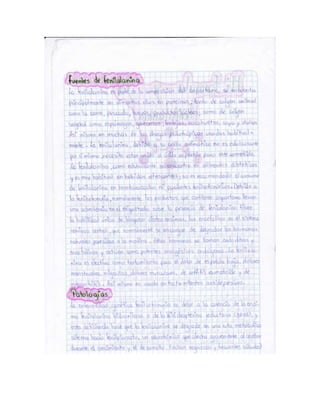 Portafolio de juanito