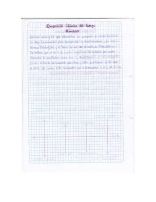 Portafolio de juanito