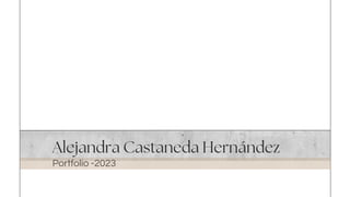 Alejandra Castaneda Hernández
Portfolio -2023
 