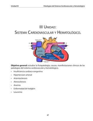 48
Patologías del Sistema Cardiovascular y Hematológico Unidad III
Insuficiencia cardíaca congestiva
Definición
Es una afe...