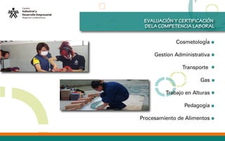 EVALUACIÓN Y CERTIFICACIÓN
DELA COMPETENCIA LABORAL
CosmetologÍa
Gestion Administrativa
Transporte
Gas
Trabajo en Alturas
Pedagogía
Procesamiento de Alimentos
 
