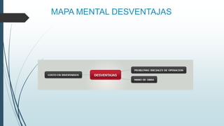 MAPA MENTAL DESVENTAJAS
 