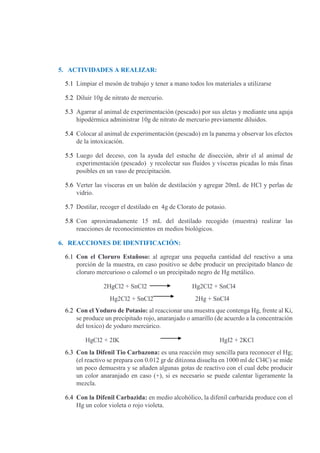 5. ACTIVIDADES A REALIZAR:
5.1 Limpiar el mesón de trabajo y tener a mano todos los materiales a utilizarse
5.2 Diluir 10g de nitrato de mercurio.
5.3 Agarrar al animal de experimentación (pescado) por sus aletas y mediante una aguja
hipodérmica administrar 10g de nitrato de mercurio previamente diluidos.
5.4 Colocar al animal de experimentación (pescado) en la panema y observar los efectos
de la intoxicación.
5.5 Luego del deceso, con la ayuda del estuche de disección, abrir el al animal de
experimentación (pescado) y recolectar sus fluidos y vísceras picadas lo más finas
posibles en un vaso de precipitación.
5.6 Verter las vísceras en un balón de destilación y agregar 20mL de HCl y perlas de
vidrio.
5.7 Destilar, recoger el destilado en 4g de Clorato de potasio.
5.8 Con aproximadamente 15 mL del destilado recogido (muestra) realizar las
reacciones de reconocimientos en medios biológicos.
6. REACCIONES DE IDENTIFICACIÓN:
6.1 Con el Cloruro Estañoso: al agregar una pequeña cantidad del reactivo a una
porción de la muestra, en caso positivo se debe producir un precipitado blanco de
cloruro mercurioso o calomel o un precipitado negro de Hg metálico.
2HgCl2 + SnCl2 Hg2Cl2 + SnCl4
Hg2Cl2 + SnCl2 2Hg + SnCl4
6.2 Con el Yoduro de Potasio: al reaccionar una muestra que contenga Hg, frente al Ki,
se produce un precipitado rojo, anaranjado o amarillo (de acuerdo a la concentración
del toxico) de yoduro mercúrico.
HgCl2 + 2IK HgI2 + 2KCl
6.3 Con la Difenil Tio Carbazona: es una reacción muy sencilla para reconocer el Hg;
(el reactivo se prepara con 0.012 gr de ditizona disuelta en 1000 ml de Cl4C) se mide
un poco demuestra y se añaden algunas gotas de reactivo con el cual debe producir
un color anaranjado en caso (+), si es necesario se puede calentar ligeramente la
mezcla.
6.4 Con la Difenil Carbazida: en medio alcohólico, la difenil carbazida produce con el
Hg un color violeta o rojo violeta.
 