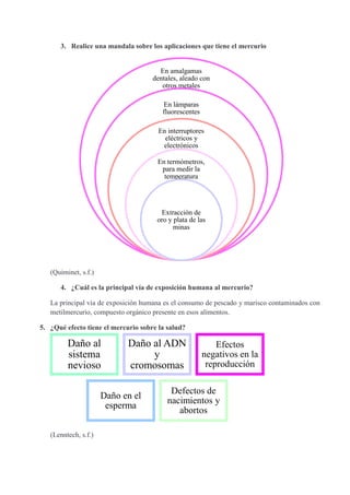 3. Realice una mandala sobre los aplicaciones que tiene el mercurio
(Quiminet, s.f.)
4. ¿Cuál es la principal vía de exposición humana al mercurio?
La principal vía de exposición humana es el consumo de pescado y marisco contaminados con
metilmercurio, compuesto orgánico presente en esos alimentos.
5. ¿Qué efecto tiene el mercurio sobre la salud?
(Lenntech, s.f.)
En amalgamas
dentales, aleado con
otros metales
En lámparas
fluorescentes
En interruptores
eléctricos y
electrónicos
En termómetros,
para medir la
temperatura
Extracción de
oro y plata de las
minas
Daño al
sistema
nevioso
Daño al ADN
y
cromosomas
Efectos
negativos en la
reproducción
Daño en el
esperma
Defectos de
nacimientos y
abortos
 
