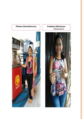 Plomo (Gasolineras) Cadmio (Mariscos-
Camaron)
 