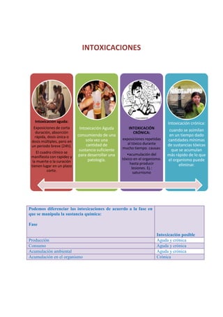 INTOXICACIONES

Intoxicación aguda:
Exposiciones de corta
duración, absorción
rápida, dosis única o
dosis múltiples, pero en
un periodo breve (24h).
El cuadro clínico se
manifiesta con rapidez y
la muerte o la curación
tienen lugar en un plazo
corto.

Intoxicación crónica:
Intoxicación Aguda
consumiendo de una
sola vez una
cantidad de
sustancia suficiente
para desarrollar una
patología.

INTOXICACIÓN
CRÓNICA:
exposiciones repetidas
al tóxico durante
mucho tiempo. causas:
•acumulación del
tóxico en el organismo.
hasta producir
lesiones. Ej.:
saturnismo

cuando se asimilan
en un tiempo dado
cantidades mínimas
de sustancias tóxicas
que se acumulan
más rápido de lo que
el organismo puede
eliminar.

Podemos diferenciar las intoxicaciones de acuerdo a la fase en
que se manipula la sustancia química:
Fase

Producción
Consumo
Acumulación ambiental
Acumulación en el organismo

Intoxicación posible
Aguda y crónica
Aguda y crónica
Aguda y crónica
Crónica

 