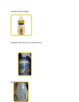 CHAMPU PARA PERROS

CHAMPU PARA PULGAS Y GARRAPATAS

REMOVEDOR DE ESMA

 