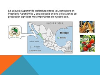 La Escuela Superior de agricultura ofrece la Licenciatura en
Ingeniería Agronómica y está ubicada en una de las zonas de
producción agrícolas más importantes de nuestro país.
 