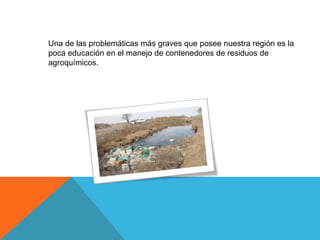 Una de las problemáticas más graves que posee nuestra región es la
poca educación en el manejo de contenedores de residuos de
agroquímicos.
 