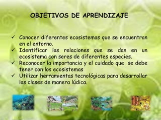 OBJETIVOS DE APRENDIZAJE 
 Conocer diferentes ecosistemas que se encuentran 
en el entorno. 
 Identificar las relaciones que se dan en un 
ecosistema con seres de diferentes especies. 
 Reconocer la importancia y el cuidado que se debe 
tener con los ecosistemas 
 Utilizar herramientas tecnológicas para desarrollar 
las clases de manera lúdica. 
 