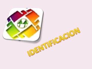 IDENTIFICACION