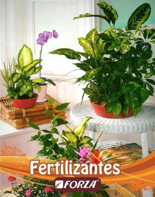 Fertilizantes 