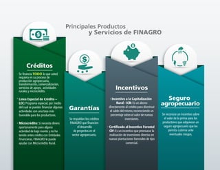Principales Productos
y Servicios de FINAGRO
Créditos
Garantías
Seguro
agropecuario
Se reconoce un incentivo sobre
el valor de la prima para los
productores que adquieran un
seguro agropecuario que les
permita cubrirse ante
eventuales riesgos.
Incentivos
Incentivo a la Capitalización
Rural - ICR: Es un abono
directamente al crédito para disminuir
el saldo del mismo, reconociendo un
porcentaje sobre el valor de nuevas
inversiones.
Certificado al Incentivo Forestal
CIF: Es un incentivo que promueve la
realización de inversiones directas en
nuevas plantaciones forestales de tipo
comercial.
Se financia TODO lo que usted
requiera en su proceso de
producción agropecuaria,
transformación, comercialización,
servicios de apoyo, actividades
rurales y microcrédito.
Línea Especial de Crédito –
LEC: Programa especial, por medio
del cual se pueden financiar algunas
actividades con una tasa más
favorable para los productores.
Microcrédito: Si necesita dinero
oportunamente para alguna
actividad de bajo monto y no ha
tenido antes crédito con Entidades
Financieras, FINAGRO le puede
ayudar con Microcrédito Rural.
Se respaldan los créditos
FINAGRO que financien
el desarrollo
de proyectos en el
sector agropecuario.
 