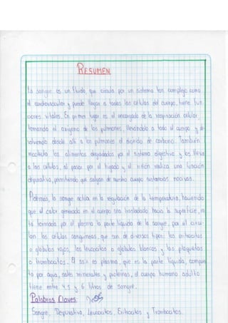 Portafolio fisologia