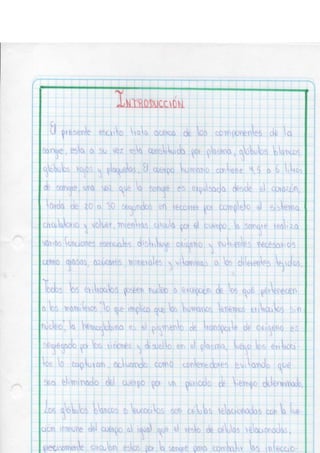 Portafolio fisologia