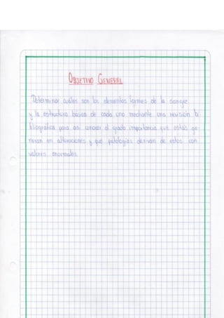 Portafolio fisologia