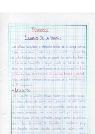 Portafolio fisologia