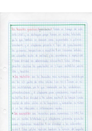 Portafolio fisologia