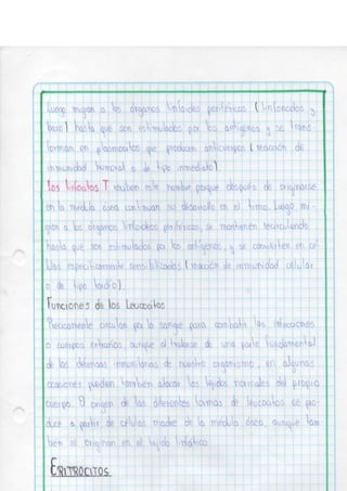 Portafolio fisologia