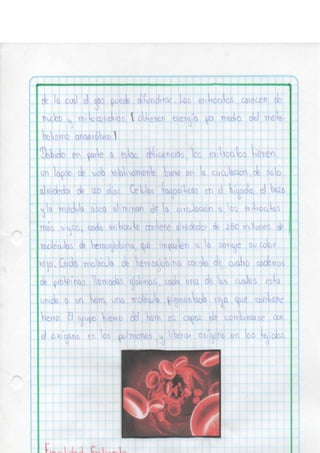 Portafolio fisologia