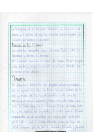 Portafolio fisologia