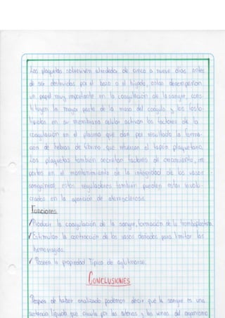 Portafolio fisologia