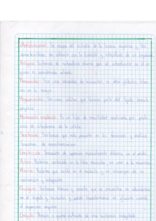 Portafolio fisologia