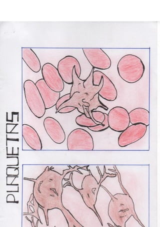 Portafolio fisologia