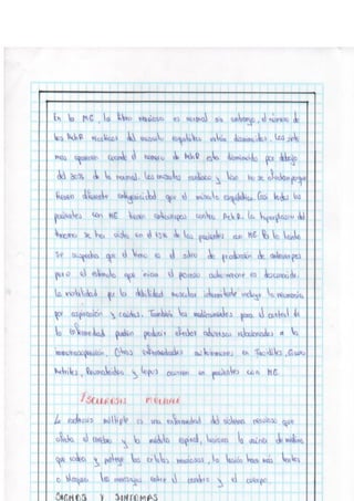 Portafolio fisologia