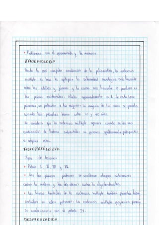 Portafolio fisologia